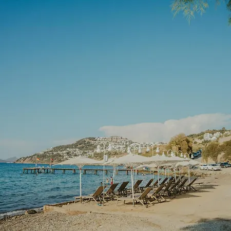 Bovilla Sentio Yalikavak 빌라 Bodrum